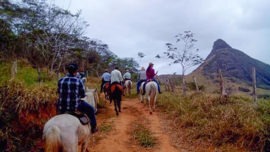 Criadores de cavalos de Campos divulgam o mangalarga marchador (Foto: Divulgação)